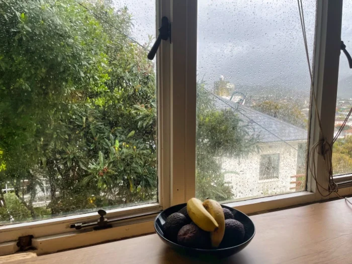 rain through the window