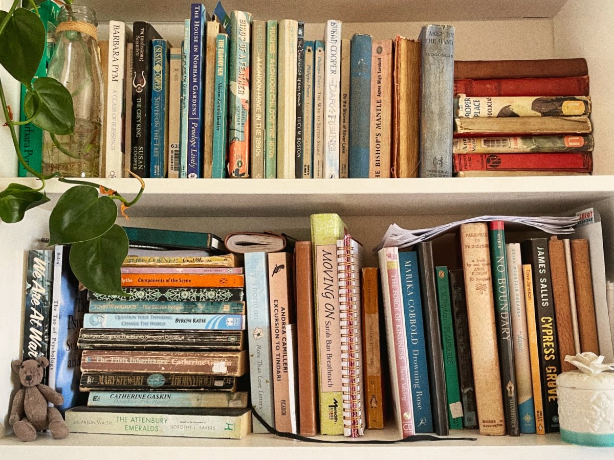 Book shelf 2024 featured