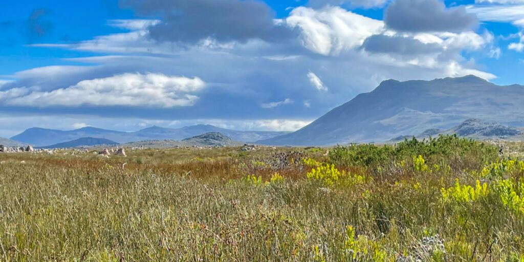 Cape landscape banner