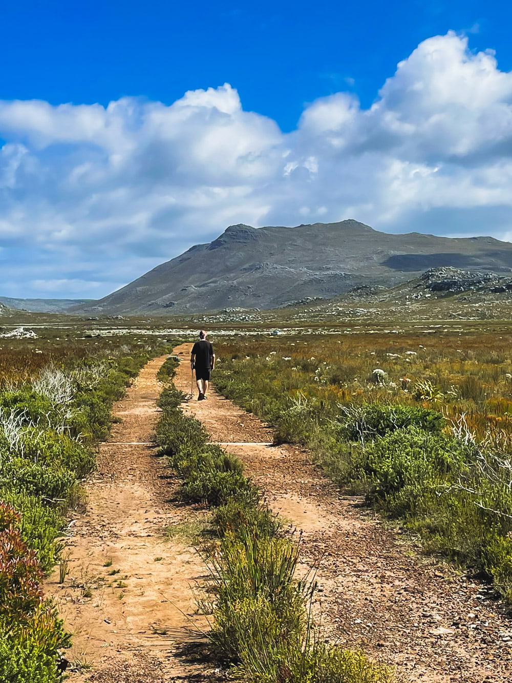 Track in cape point